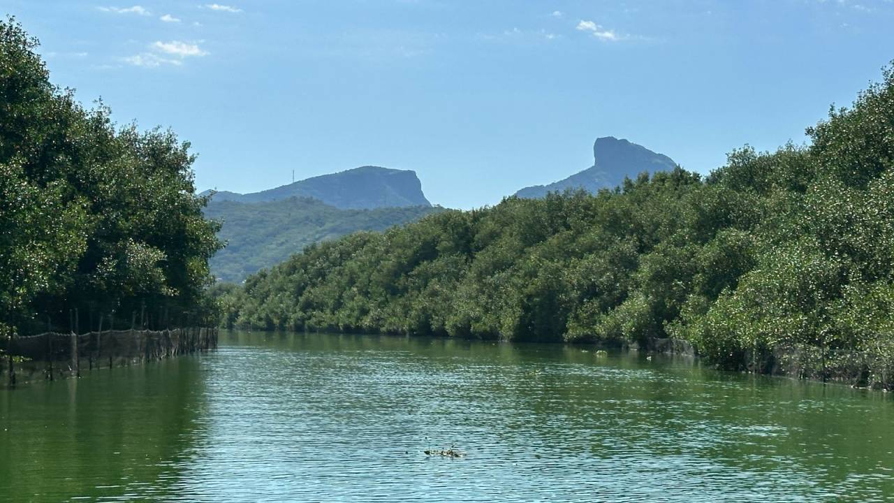 lagoa