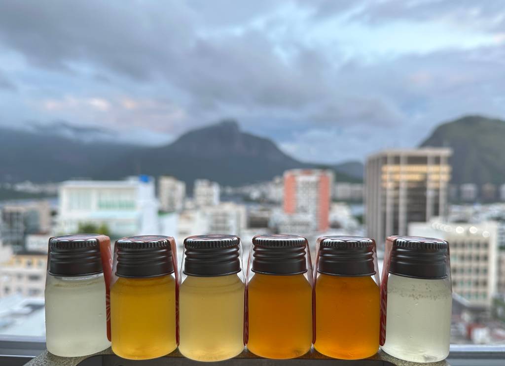 Mel de abelhas sem ferrão: o novo caviar