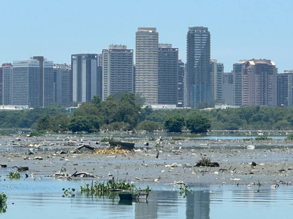 Meio ambiente, por Mario Moscatelli