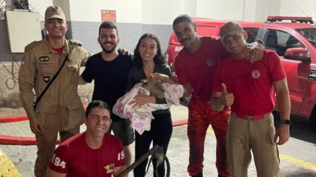 Cachorro é resgatado após cinco horas preso em vão da Ponte Rio-Niterói