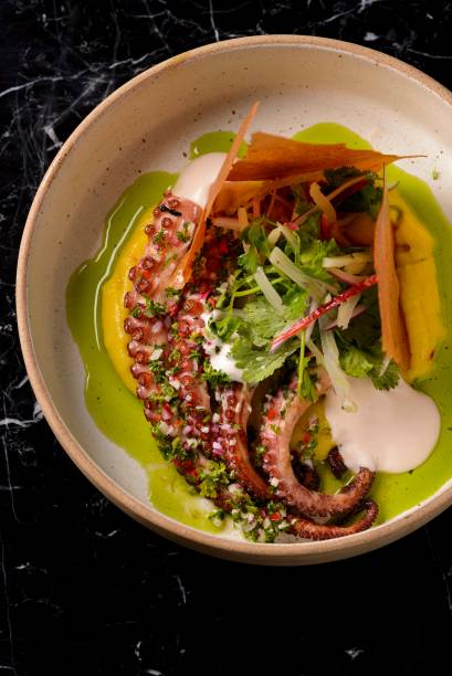 Polvo grelhado na parrilha com chimichurri com purê de batata baroa