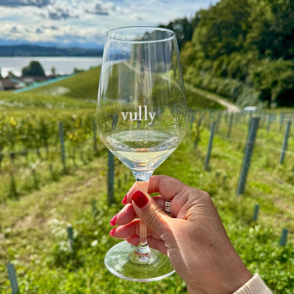 Riqueza Vinícola da Suíça: enoturismo pelas regiões francesa e italiana