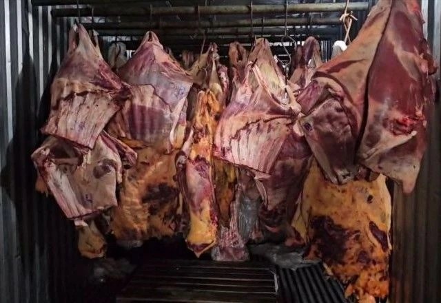 Sócio de empresa é preso por revender 800 toneladas de carne estragada