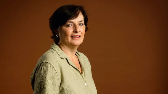 Ainda estou aqui impulsiona Festival de Cinema Brasileiro de Paris