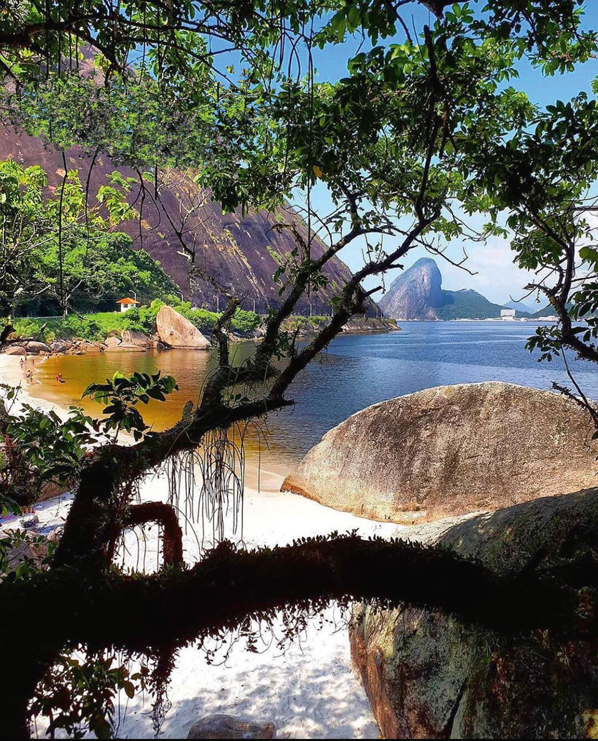 De outro ângulo: o que há de novo em tour pela Baía de Guanabara