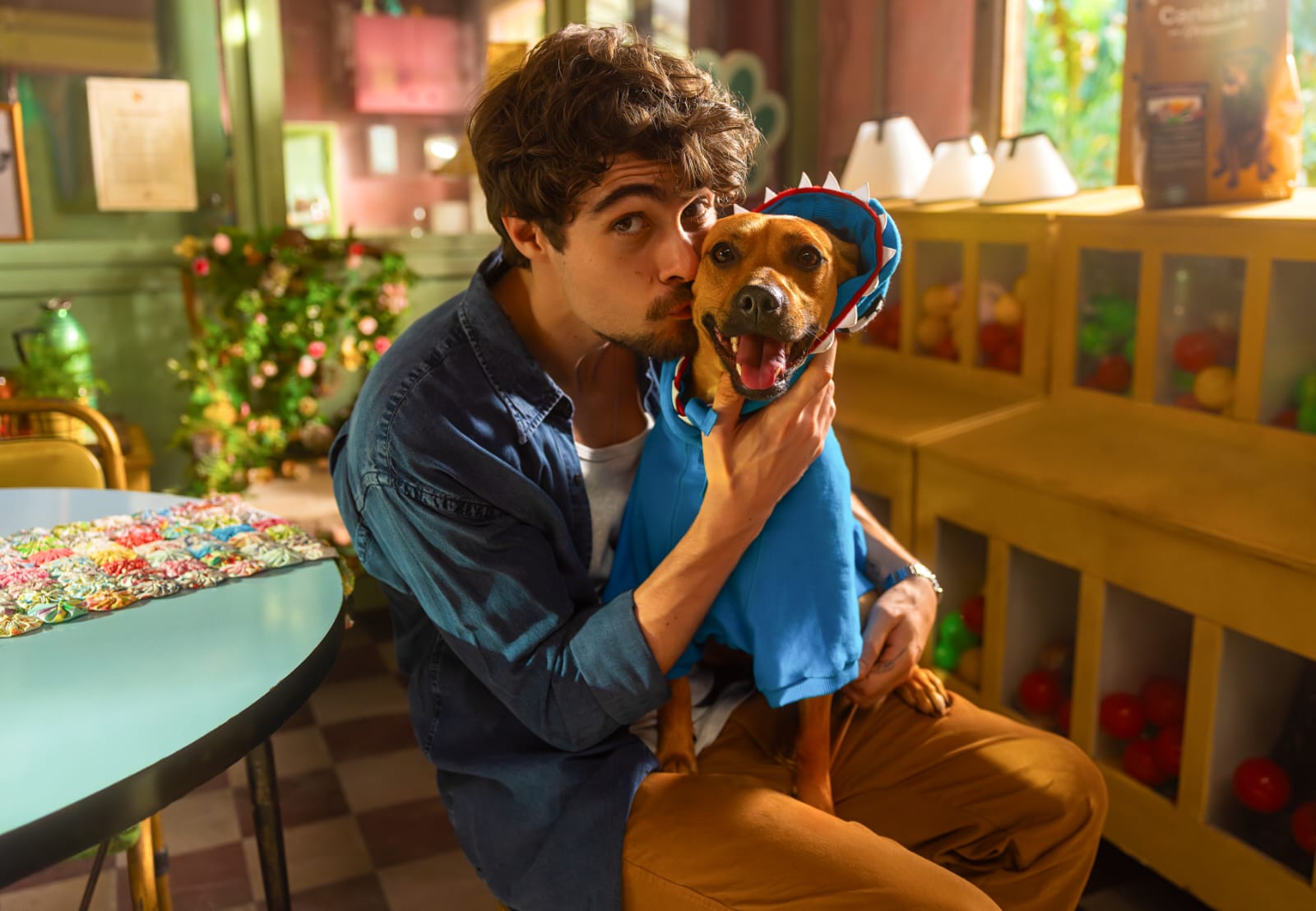 Dia do Vira-Latas: “astro” de cinema tem ajudado a impulsionar adoção 