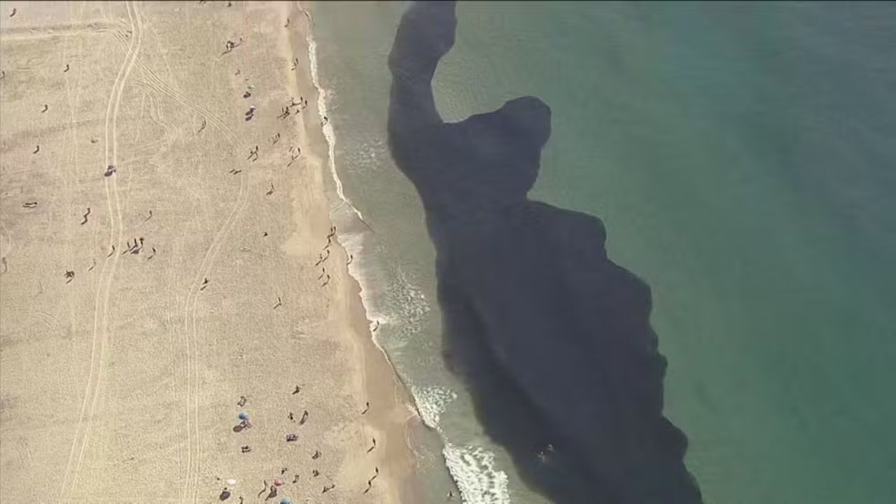Nas praias do Leme e Arpoador, banhistas nadam próximo a cardume