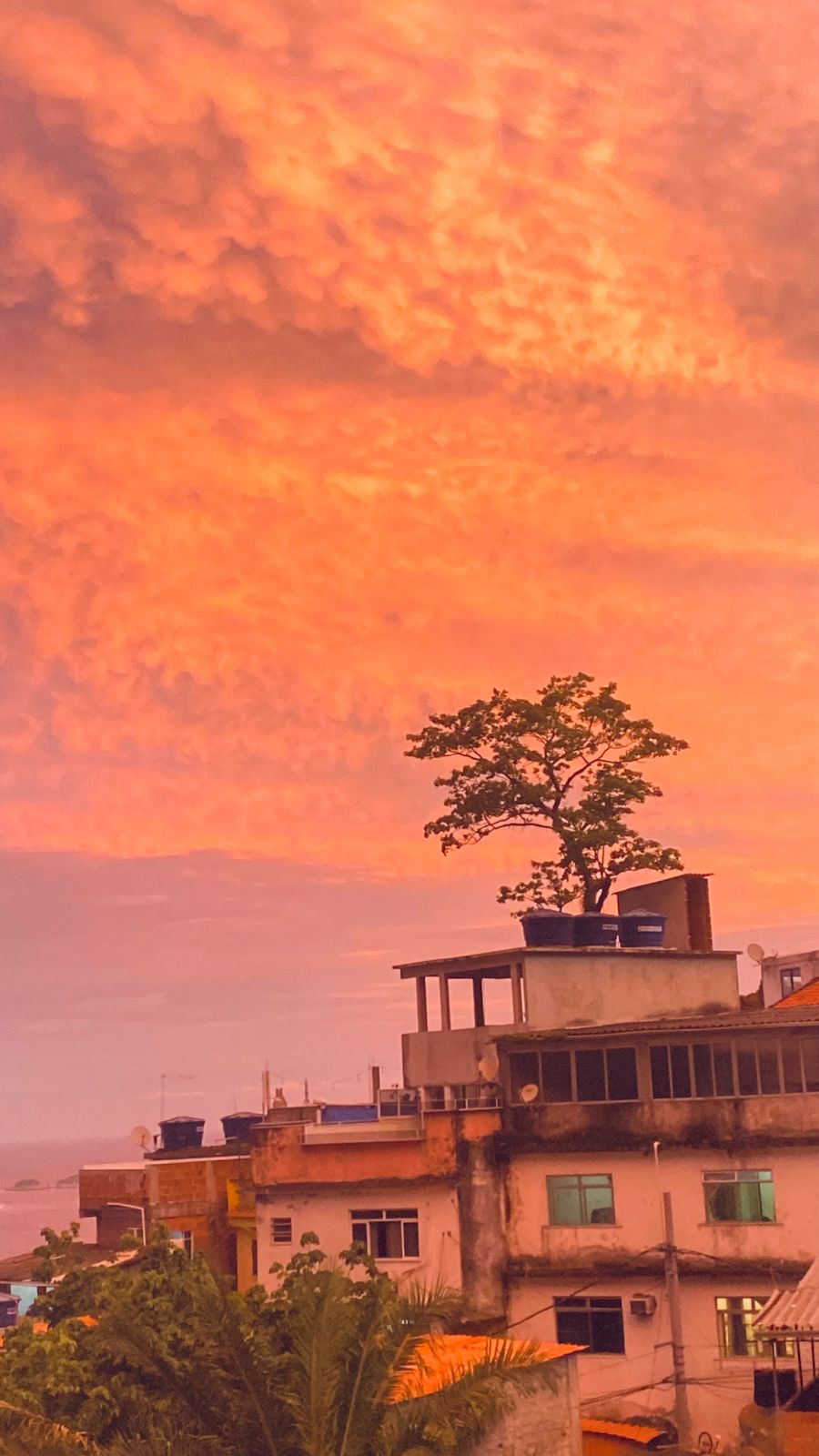 Dispersão de Rayleigh: nome e sobrenome do céu cinematográfico no Rio