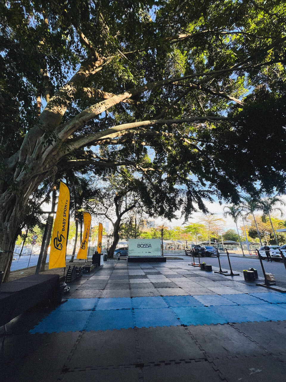 Circuito Bossa Nova