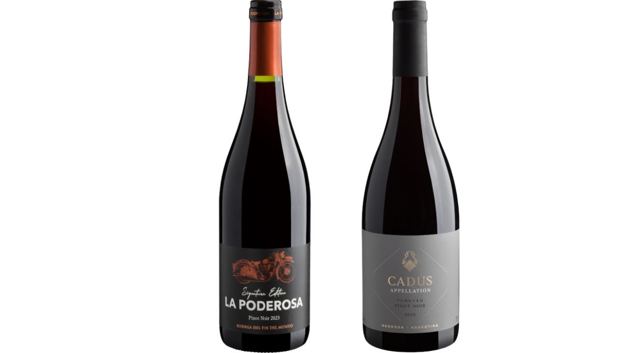 Vinhos da Linha Signature, edi&ccedil;&atilde;o pinot noir, da Grand Cru