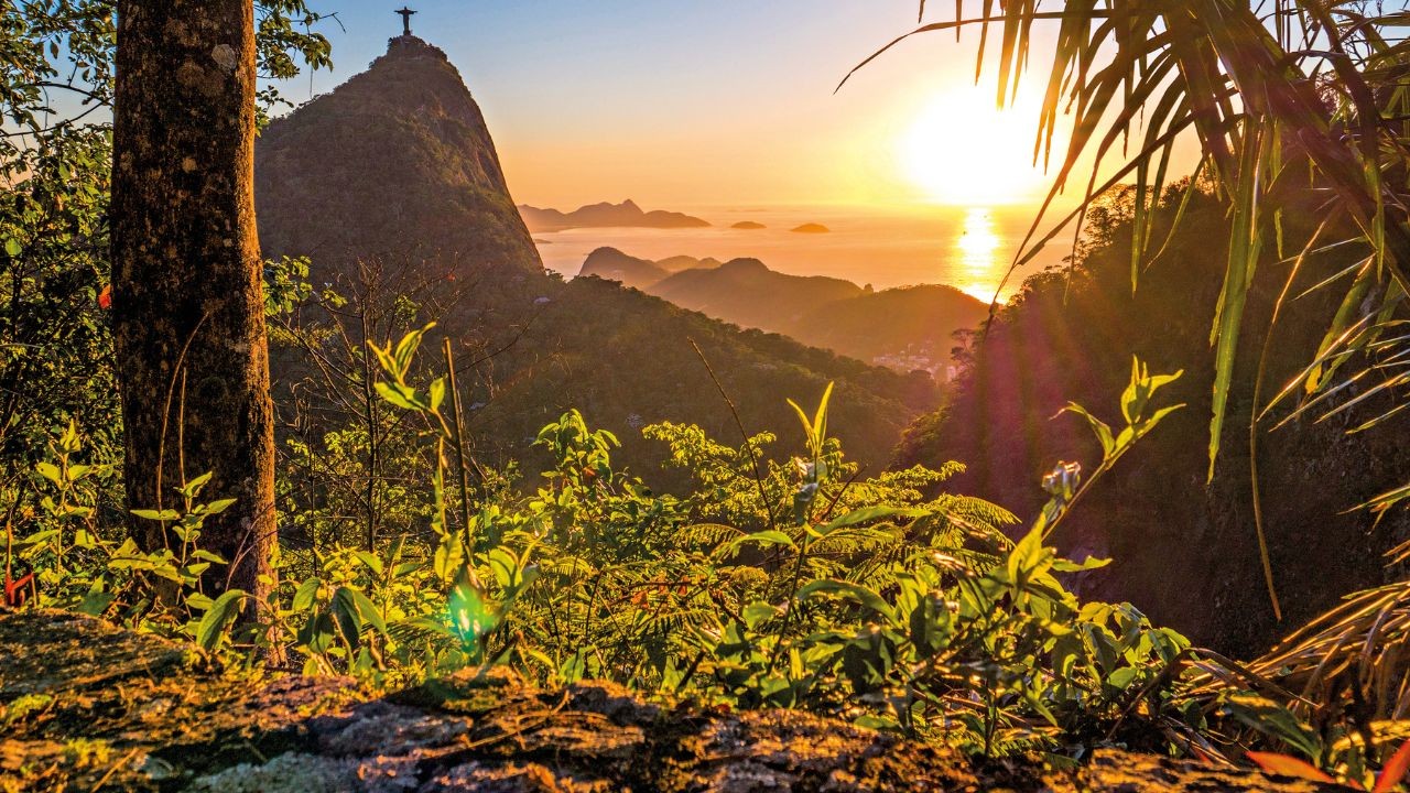 Rio Nature & Climate Week reúne shows, debates e consciência ambiental
