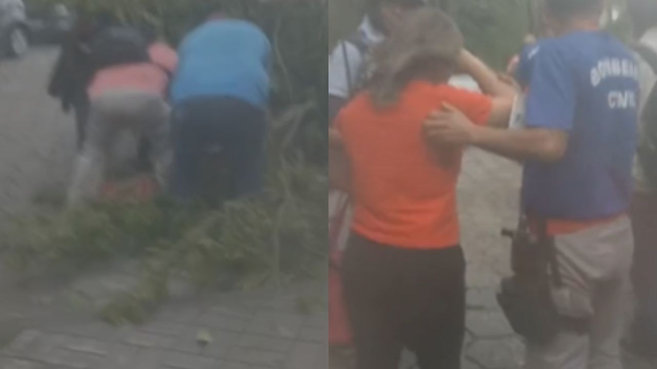 Árvore cai em cima de mulher na Fiocruz