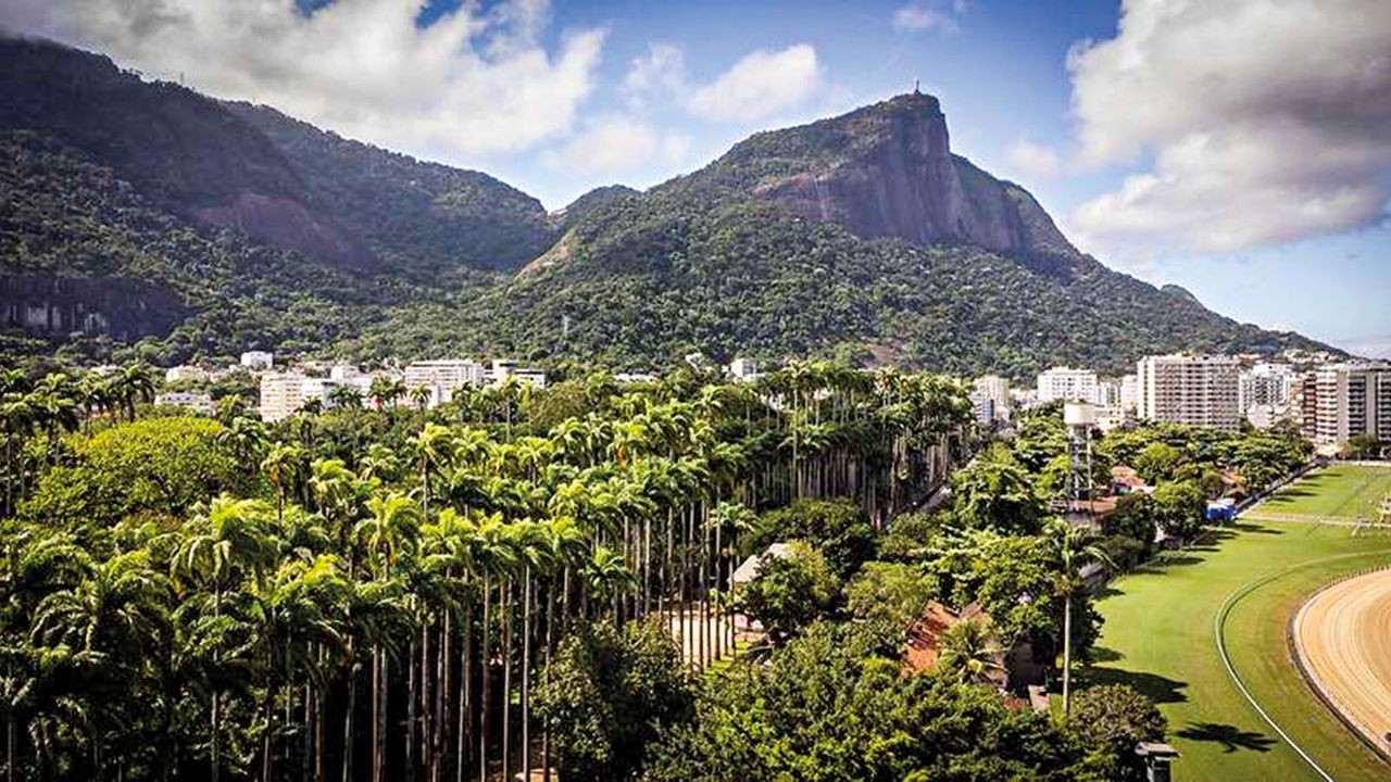 O  motivo que faz do Jardim Botânico do Rio o mais diverso do mundo